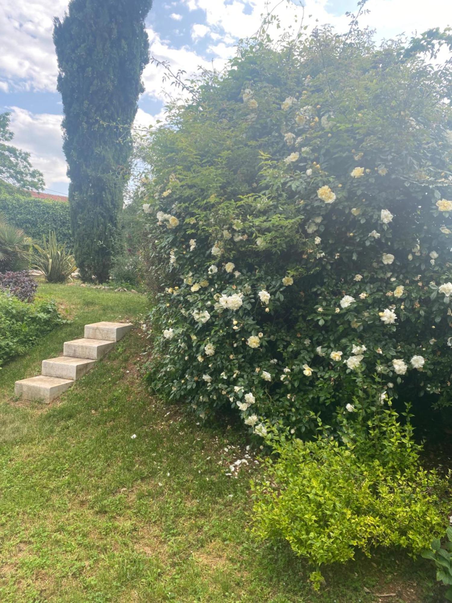 Domos Selene Casa Delle Farfalle Tinjan Dış mekan fotoğraf